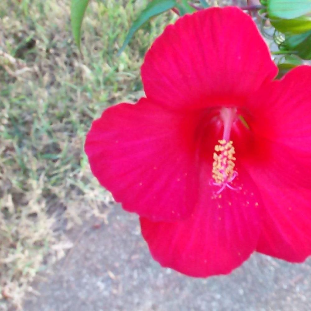 Meet your Posher, Tara